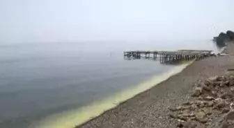 Ayvacık Sahilinde Denizin Rengi Değişti
