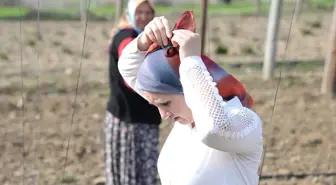 Belediyede Başkan Tarlada 'İşçi'