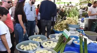 Urla'da Enginar İzdihamı