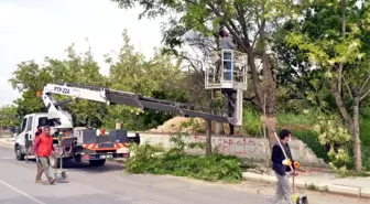 Akdeniz'de Parklar Bahara Hazırlanıyor