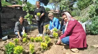 Birgi Bahar Şenliğine Hazırlanıyor