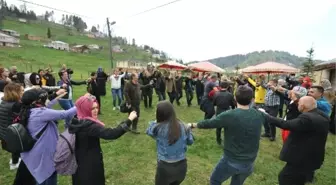 Mor Yayla'ya Hafta Sonu Ziyaretçi Akını