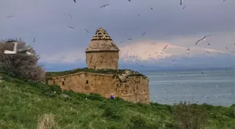 Çarpanak Adası'nda Şenlik