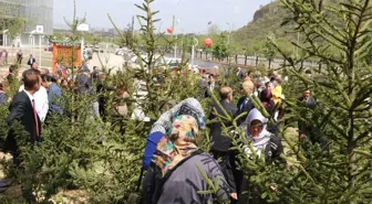 Karabük Valiliğinden, Şehit Ailelerini Duygulandıran Fidanlık