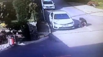 Tuzla'da Çocuğu Öldüresiye Döven Şahıs Yakalandı