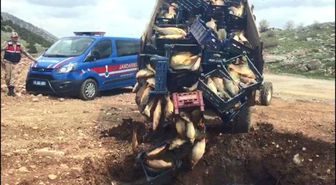 Sağlıksız Koşullarda Taşınan 1 Ton 200 Kilo Balık İmha Edildi