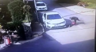 Erik Çekirdeği Yüzünden Çocuğu Öldüresiye Döven Cani Tutuklandı