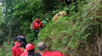 Rize'de Kaybolan Çocuklar Bulundu