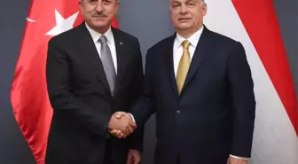 Çavuşoğlu, Macaristan Başbakanı Orban ile Görüştü