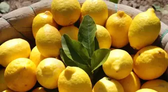 Mersin ve Adana'nın Nisan Ayı Enflasyonu Yüzde 21,52