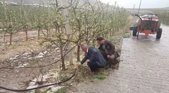 Niğde'de Dolu Meyve Ağaçlarında Hasara Neden Oldu