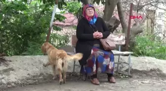 Rize Selim Yağız'ın Babaannesi Torunuma Bir Şey Olsaydı Yaşayamazdım