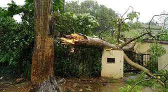 Hindistan ve Bangladeş'i Vuran Fani Kasırgası 9 Ölüme Yol Açtı