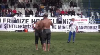 8. Yağlı Pehlivan Güreşlerinde Serhat Gökmen Başpehlivan Oldu