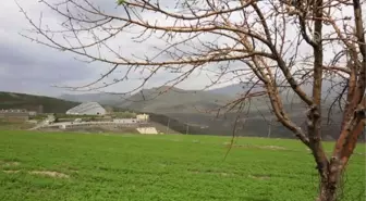 Köydeki Müzede Nuri Bilge Ceylan Fotoğraf Sergisi Açıldı