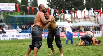 Manavgat Belediyesi 8. Yağlı Pehlivan Güreşleri