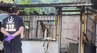 Ordu'da Yangın