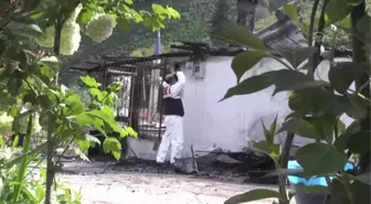 Ordu'da Yangın
