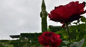 Yeşil Cami' Ramazan'a Hazır