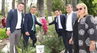 Bodrum'da Deniz ve Arkadaşları İçin Üç Fidan Dikildi