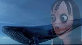 5 Ayrı Bakanlık Momo, Mavi Balina Gibi Siber Tehditlere Karşı Harekete Geçti