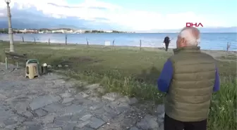 Balıkesir Almanya'dan Gelip, İğde Ağaçları İçin Nöbet Tutuyor