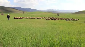 Hafik Ziraat Odası Başkanı Karakaş'tan Biçerdöver Uyarısı