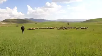 Hafik Ziraat Odası Başkanı Karakaş'tan Biçerdöver Uyarısı