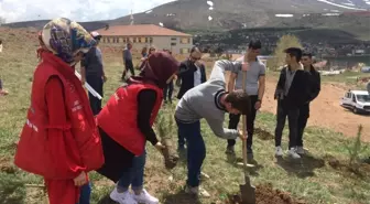 Genç Gönüllüler Şehitler Anısına Fidan Dikti