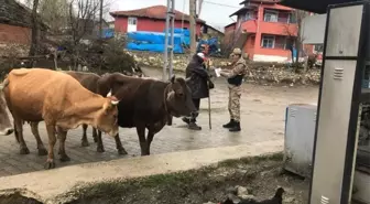 Hırsızlık ve Dolandırıcılığa Karşı Ahır ve Meraları Gezdiler