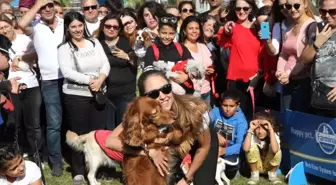Tay Park'ta Şenlik Var