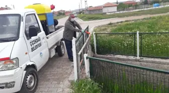 Çiçekdağı Belediyesi, Haşere İlaçlama Çalışmalarına Başladı