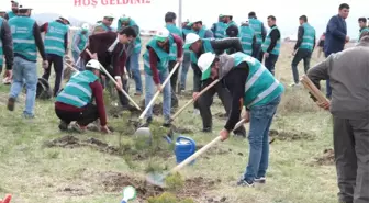 Hükümlüler 'Adalet Ormanı'na Fidan Dikti