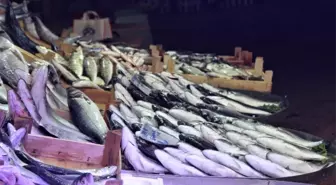 Tezgahta Kilosu 10 Liraya Balık Var Alan Yok