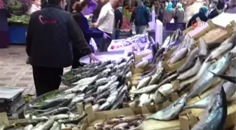 Tezgahta Kilosu 10 Liraya Balık Var Alan Yok