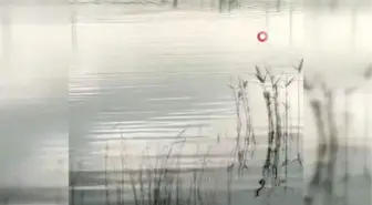 Büyükçekmece Gölü'ne Giren Bir Kişi Kayboldu...şahsın Kaybolduğu Bölge Havadan Görüntülendi