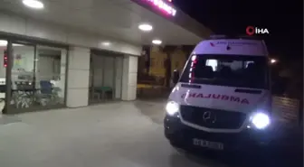 İngiliz Turist Organlarıyla Hayat Verdi