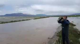 Erçek Gölü'ndeki İnci Kefali Balıkları da Korunuyor