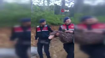 Marmaris'te Kaybolan 100 Yaşındaki Kadın 7 Saat Sonra Bulundu