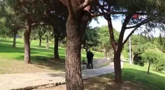 Yaşıtları Gibi Oynayamadı, Oyuncak Koleksiyoneri ve Fotoğrafçısı Oldu