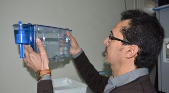 Zebra Balığıyla Nanoteknolojinin Etkileri Araştırılacak