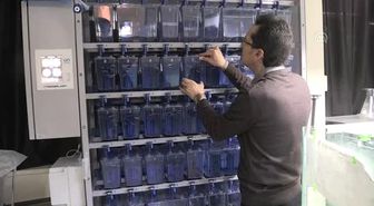 Zebra Balığıyla Nanoteknolojinin Etkileri Araştırılacak