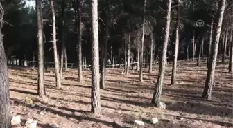 Evdeki Kan İzleri ve Bıçak Cinayeti Aydınlattı