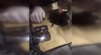 Kaplumbağayı Kaportacıda Hayata Döndürdüler