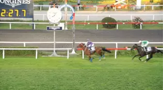 Tjk'den Engelliler Haftası'na Özel Etkinlikler