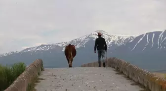 Bendi Mahi Köprüsü'ne Ziyaretçi İlgisi