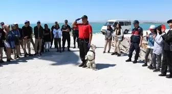 Jandarma Teşkilatının Gözbebeği Eğitimli Köpekler Hayran Bıraktı