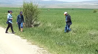 Sorgun'da Tarım Zararlıları ile Mücadele Sürüyor