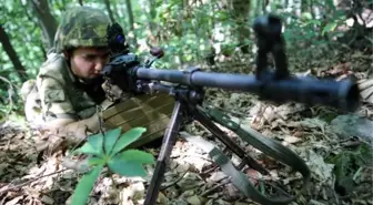 Giresun'da 1 PKK'lı Terörist Yakalandı