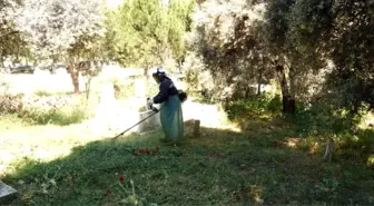 Koçarlı'da Mezarlıklar Bakıma Alındı